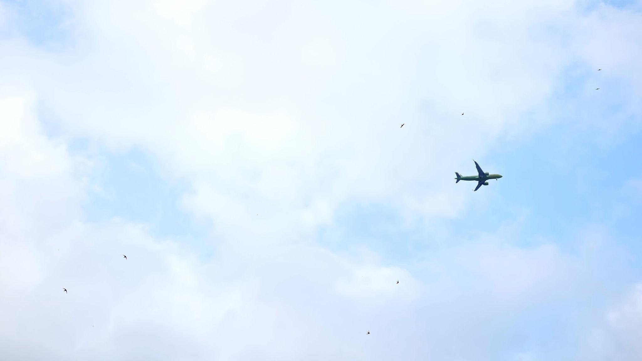 Flight hero